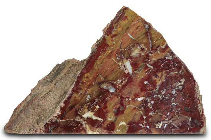 Free-Standing Polished Marston Ranch Jasper - Oregon #382194